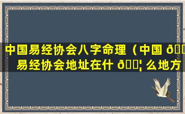 中国易经协会八字命理（中国 🕊 易经协会地址在什 🐦 么地方）